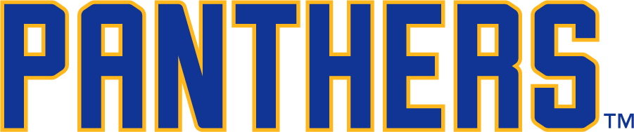 Pittsburgh Panthers 2019-Pres Wordmark Logo v3 diy iron on heat transfer